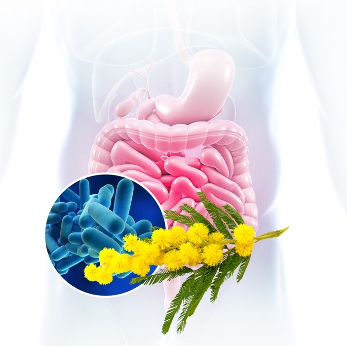 Меньше сухости и твёрдости